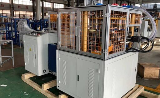 200512960_5623308297743015_3183121463750437765_n